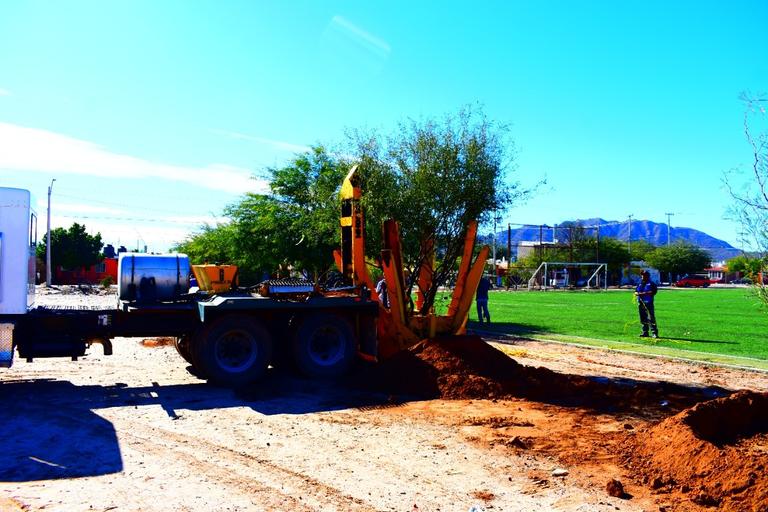 Reubicación de flora — G. Monte Industrial Solutions